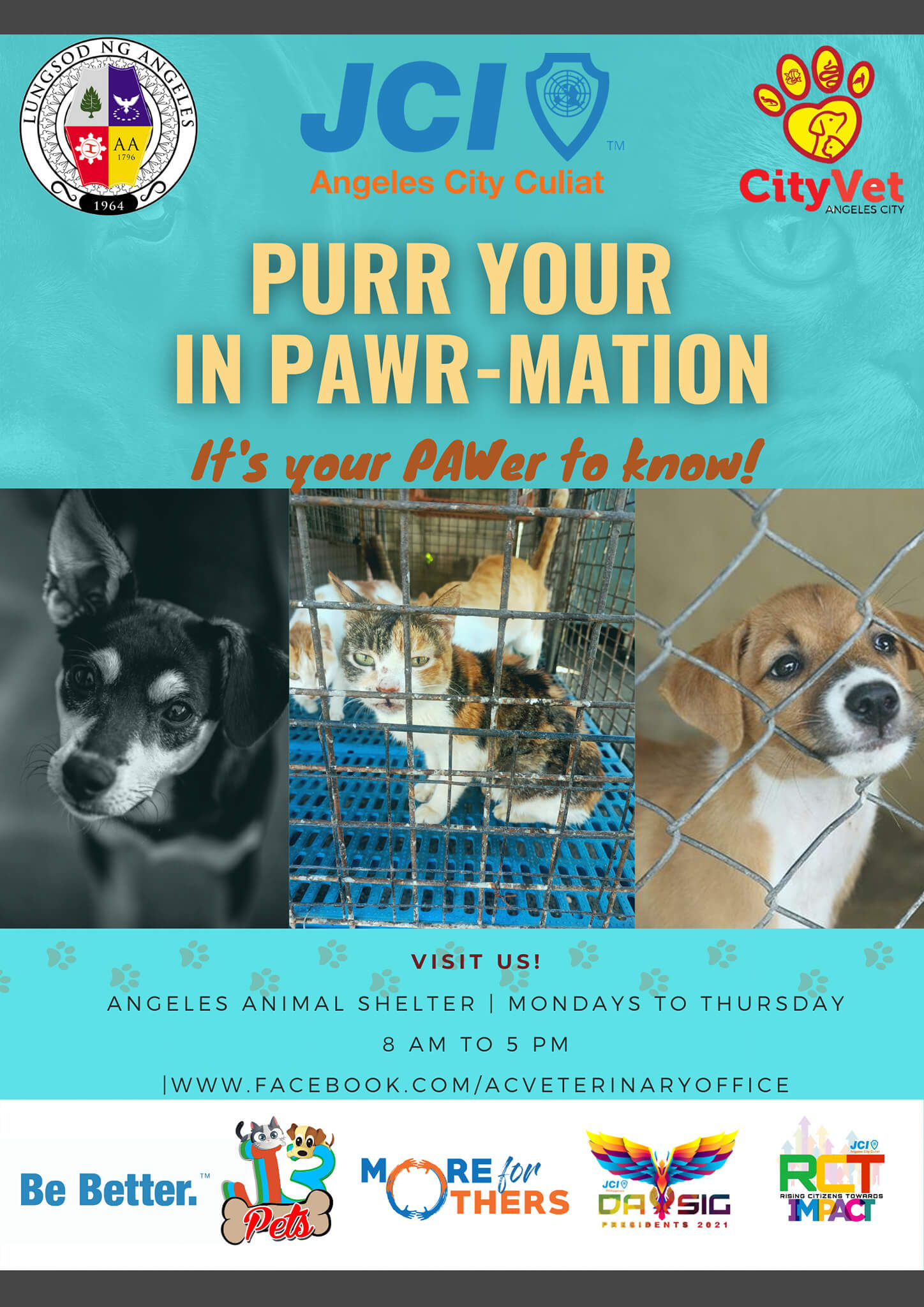 Purr-your_InPawrmation_poster